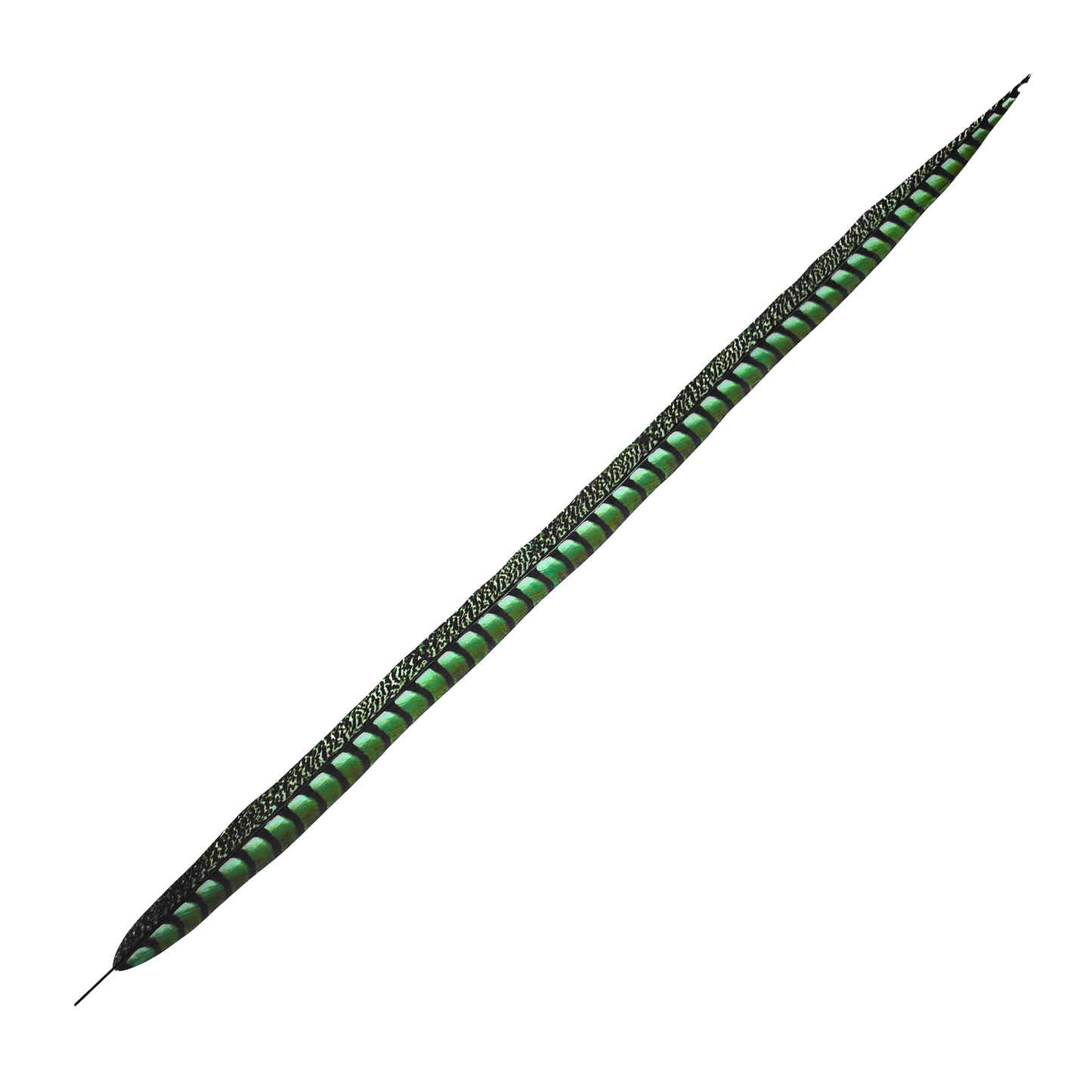 Kelly Green Faux Lady Amherst Feathers 1 pc