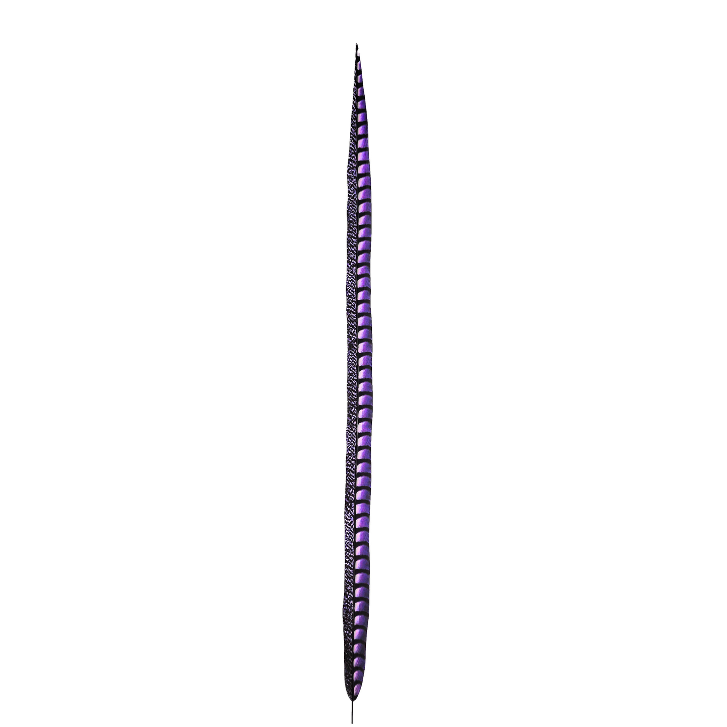 Lavender Faux Lady Amherst Feathers 1 pc