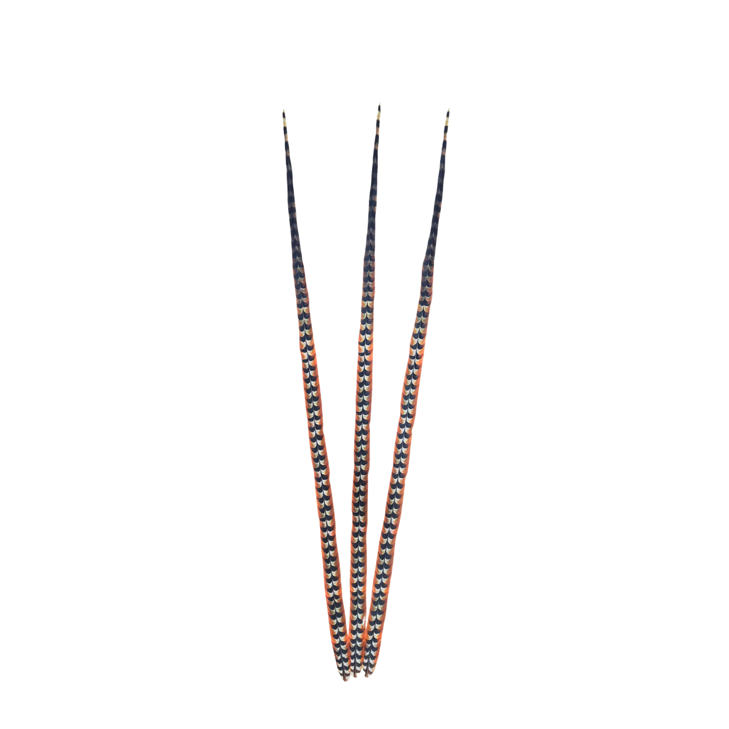 Faux Venery Pheasant Feather Tails 50 inch - 3 pcs