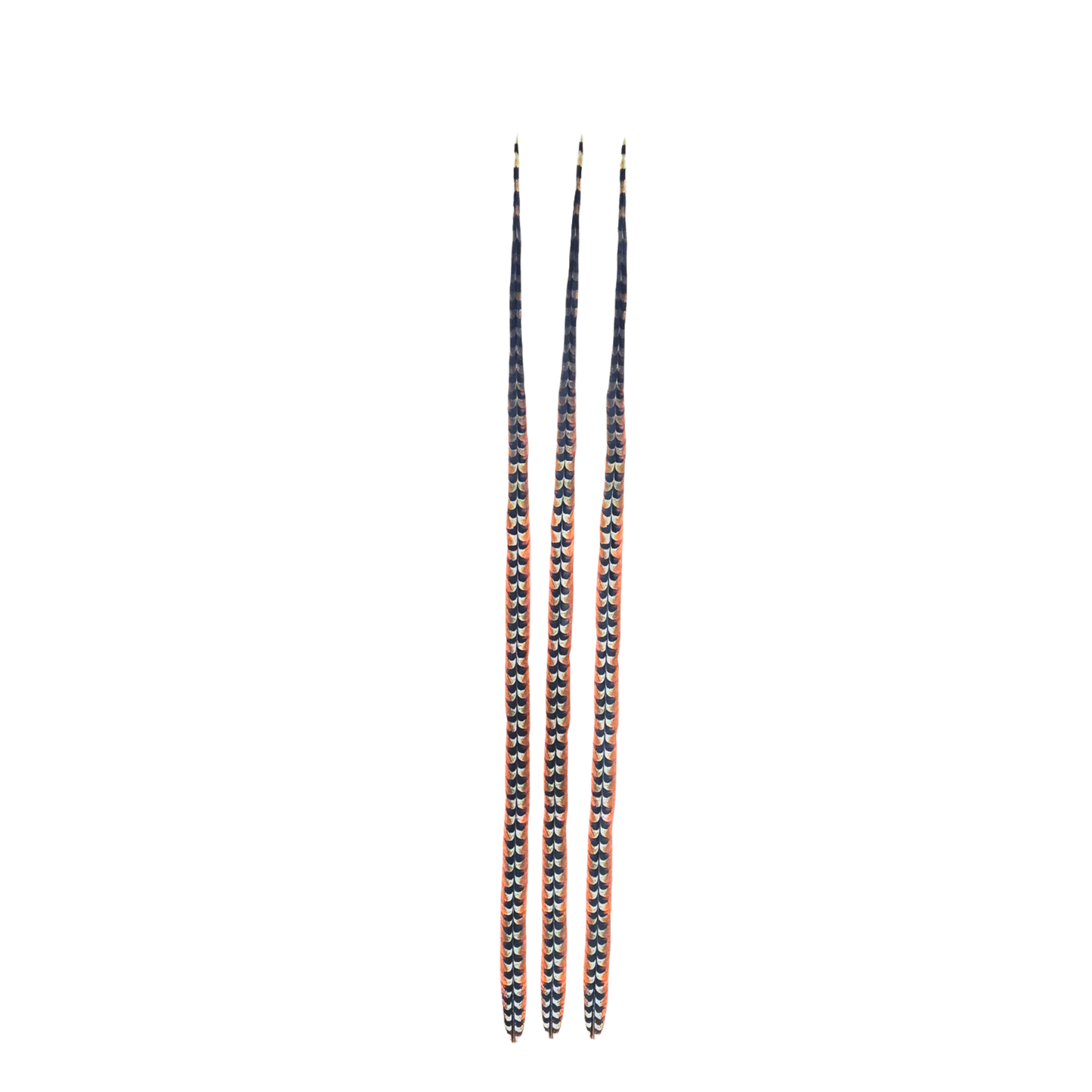 Faux Venery Pheasant Feather Tails 50 inch - 3 pcs