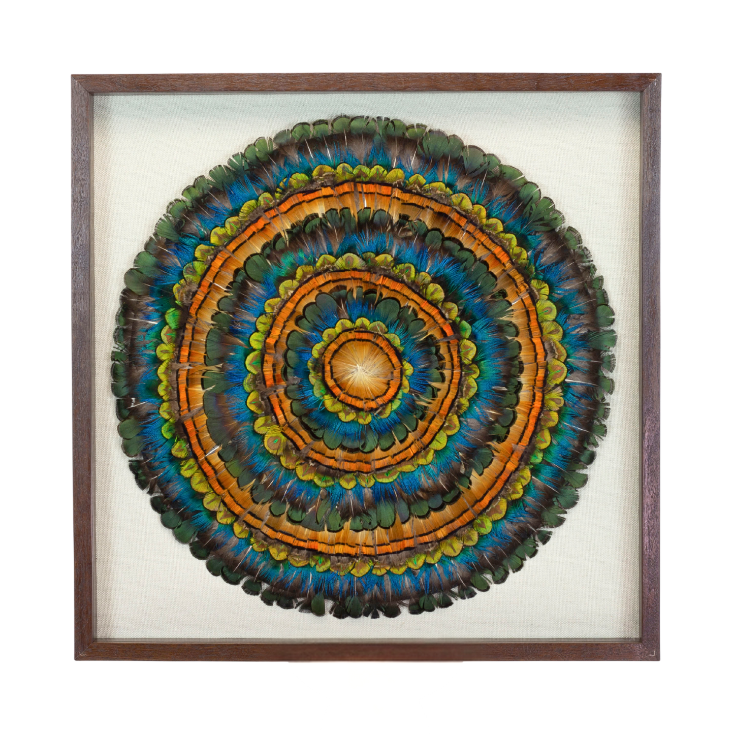 Mixed Pheasant Feather Framed Wall Art