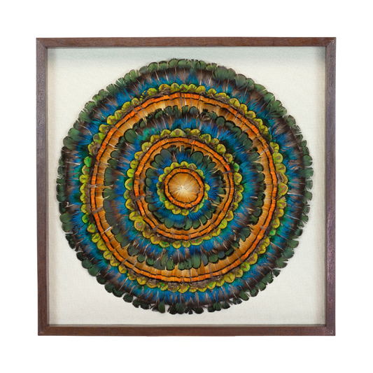 Mixed Pheasant Feather Framed Wall Art