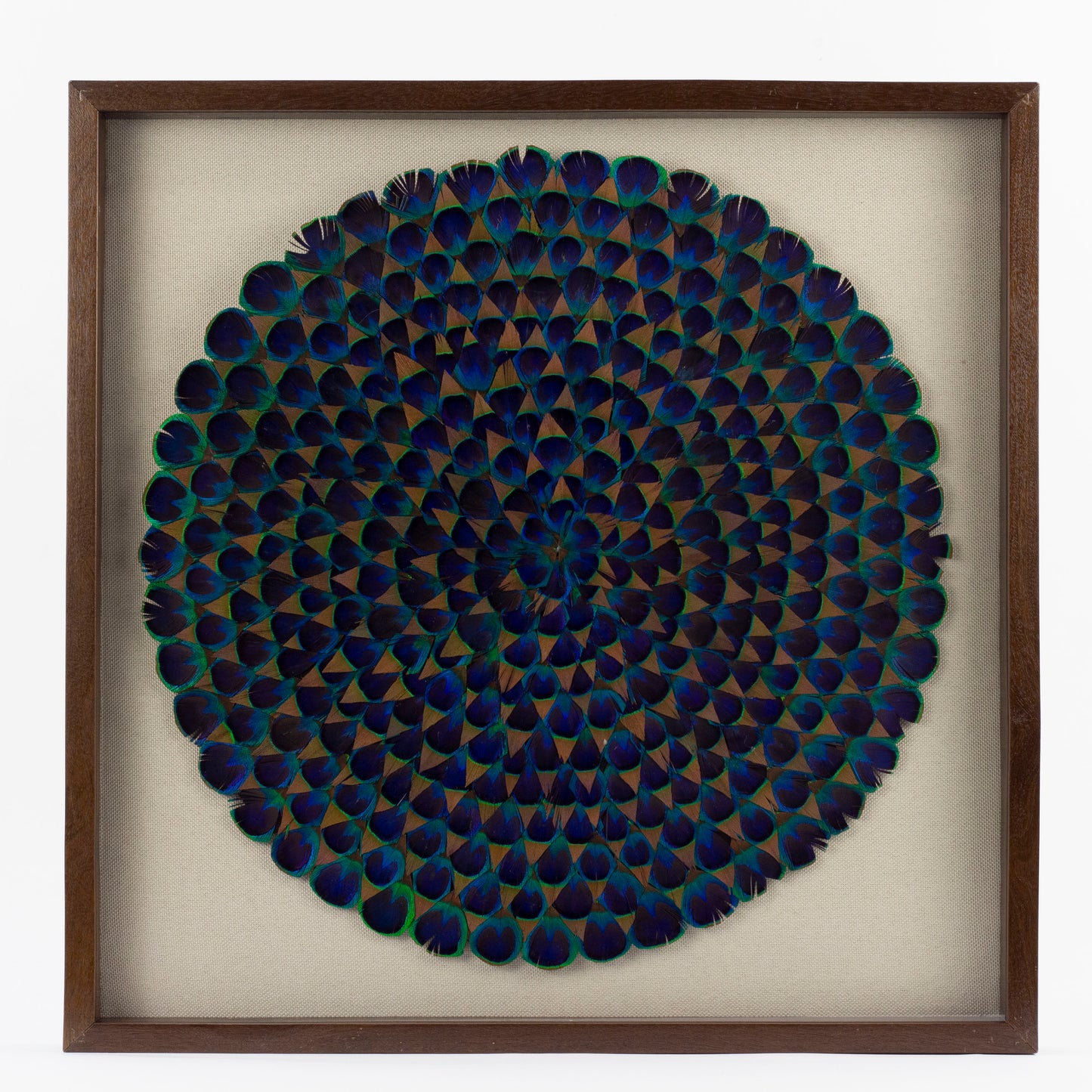 Natural Blue Peacock Feather Framed Wall Art