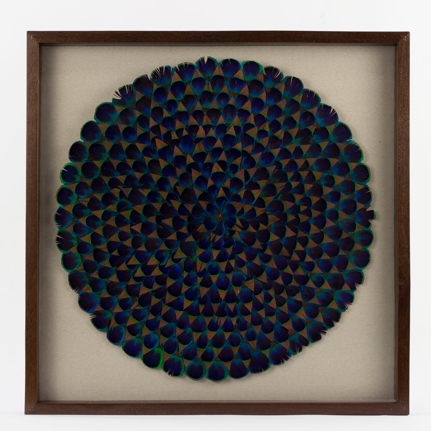 Natural Blue Peacock Feather Framed Wall Art