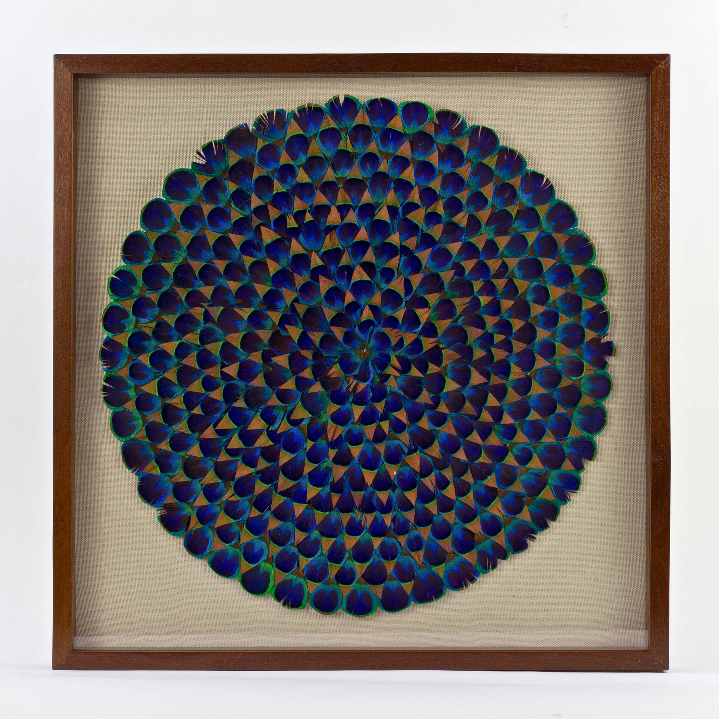 Natural Blue Peacock Feather Framed Wall Art