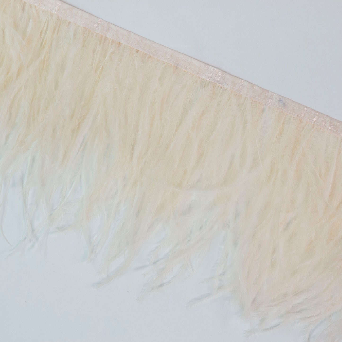 Ostrich Feather Fringe 2PLY - Ivory
