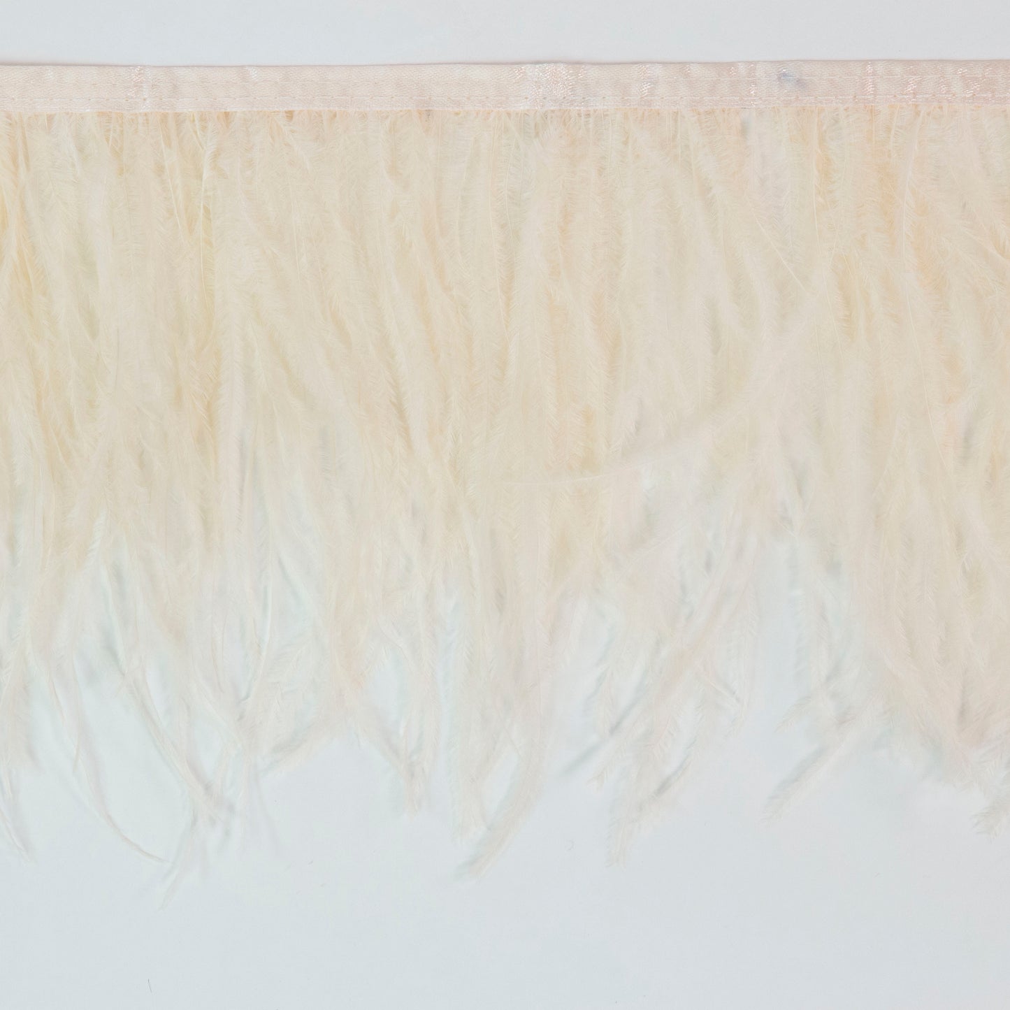 Ostrich Feather Fringe 2PLY - Ivory