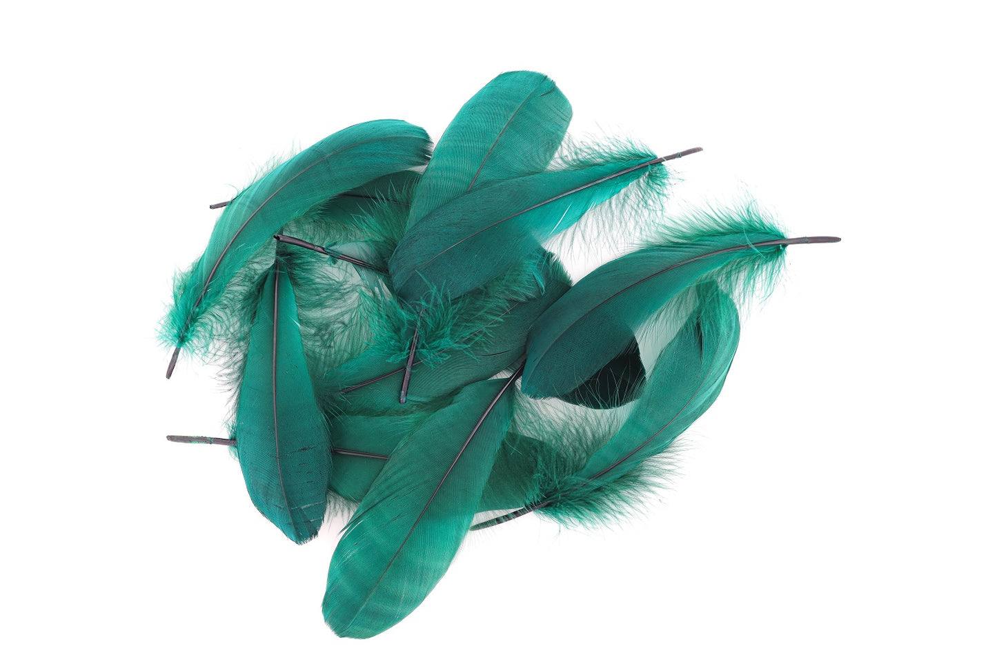 Goose Pallet Feathers 6-8" - 12 pc - Hunter Green