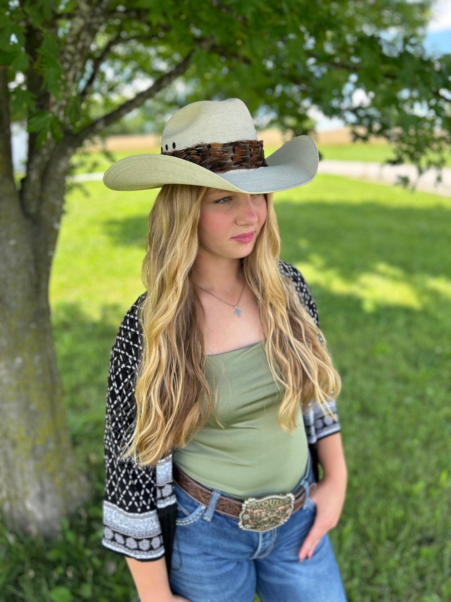 Natural Dark Heart and Ringneck Pheasant Feather Hat Band