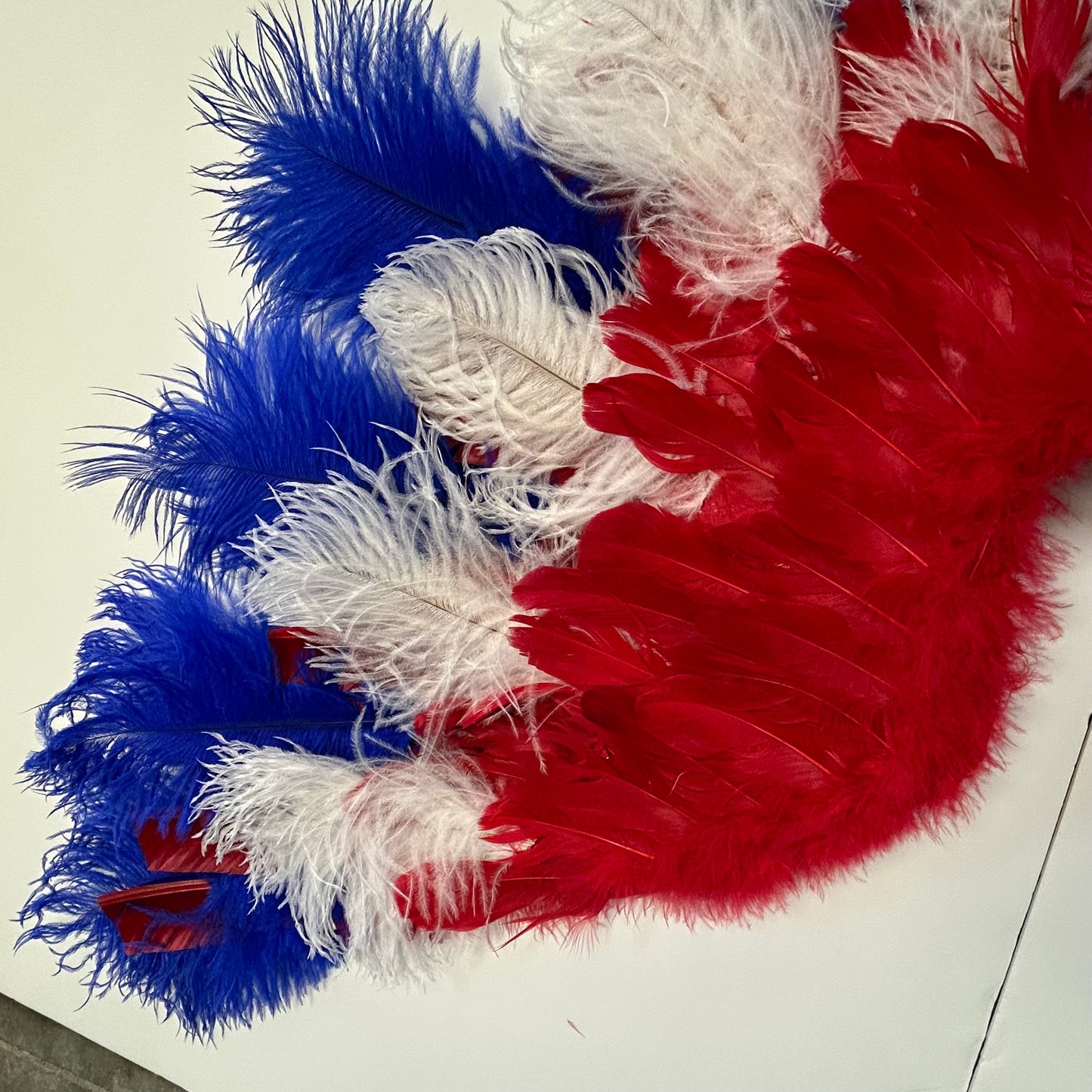 Goose Turkey Feather Wings 25 x 50 inch --Red/White/Royal