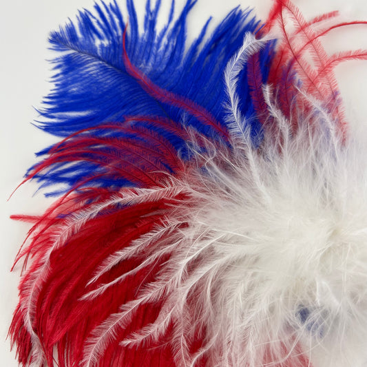 Ostrich Clip --Red/White/Royal