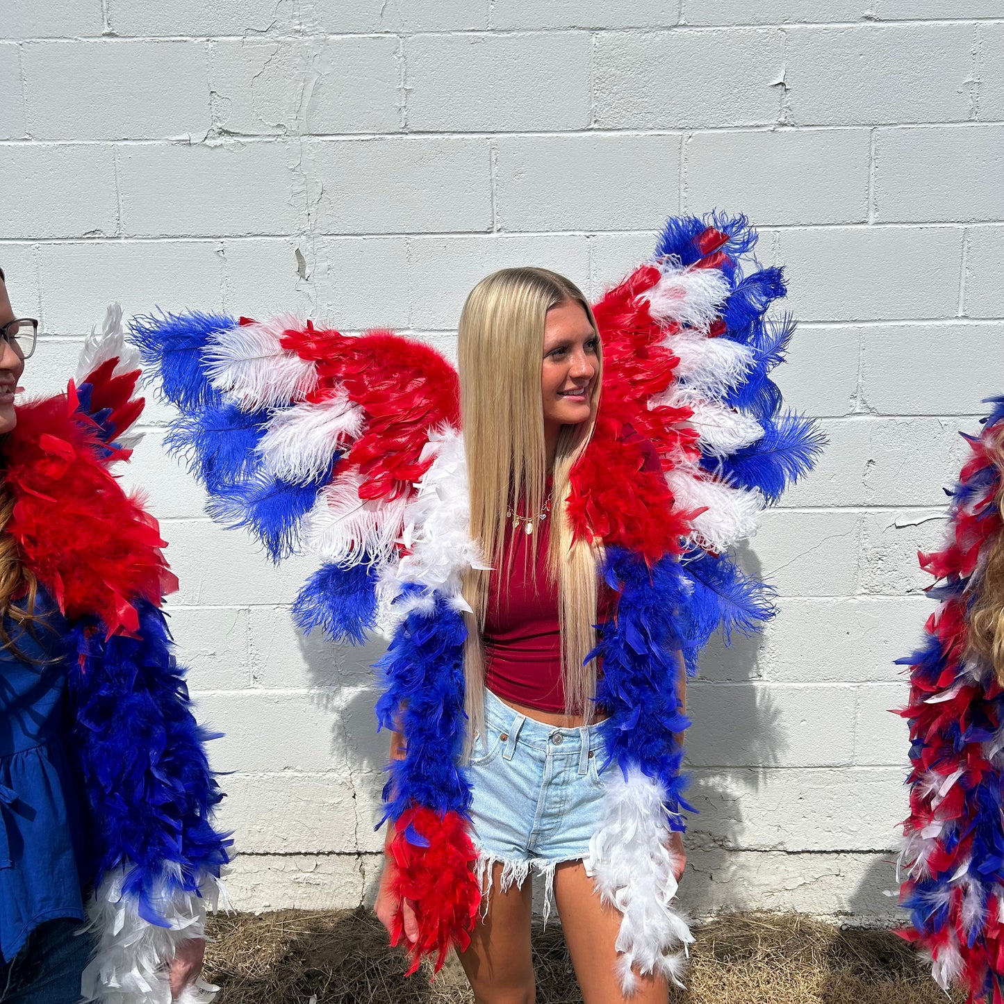 Goose Turkey Feather Wings 25 x 50 inch --Red/White/Royal