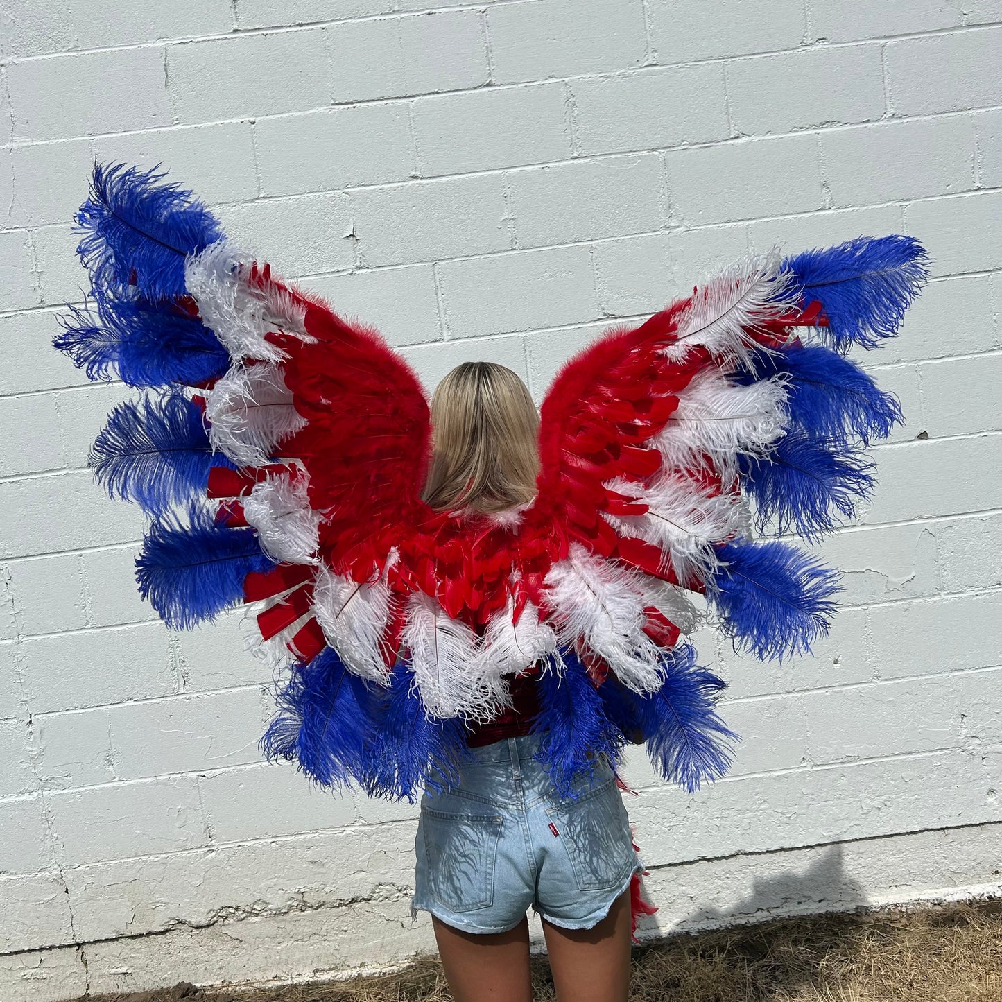 Goose Turkey Feather Wings 25 x 50 inch --Red/White/Royal