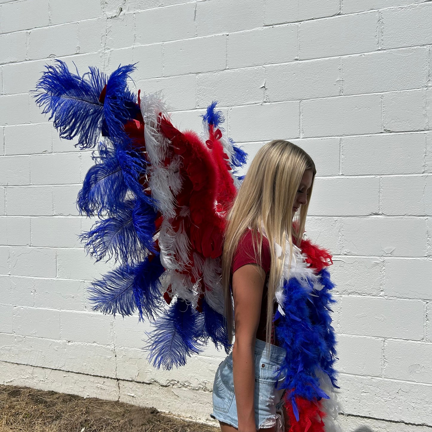 Goose Turkey Feather Wings 25 x 50 inch --Red/White/Royal