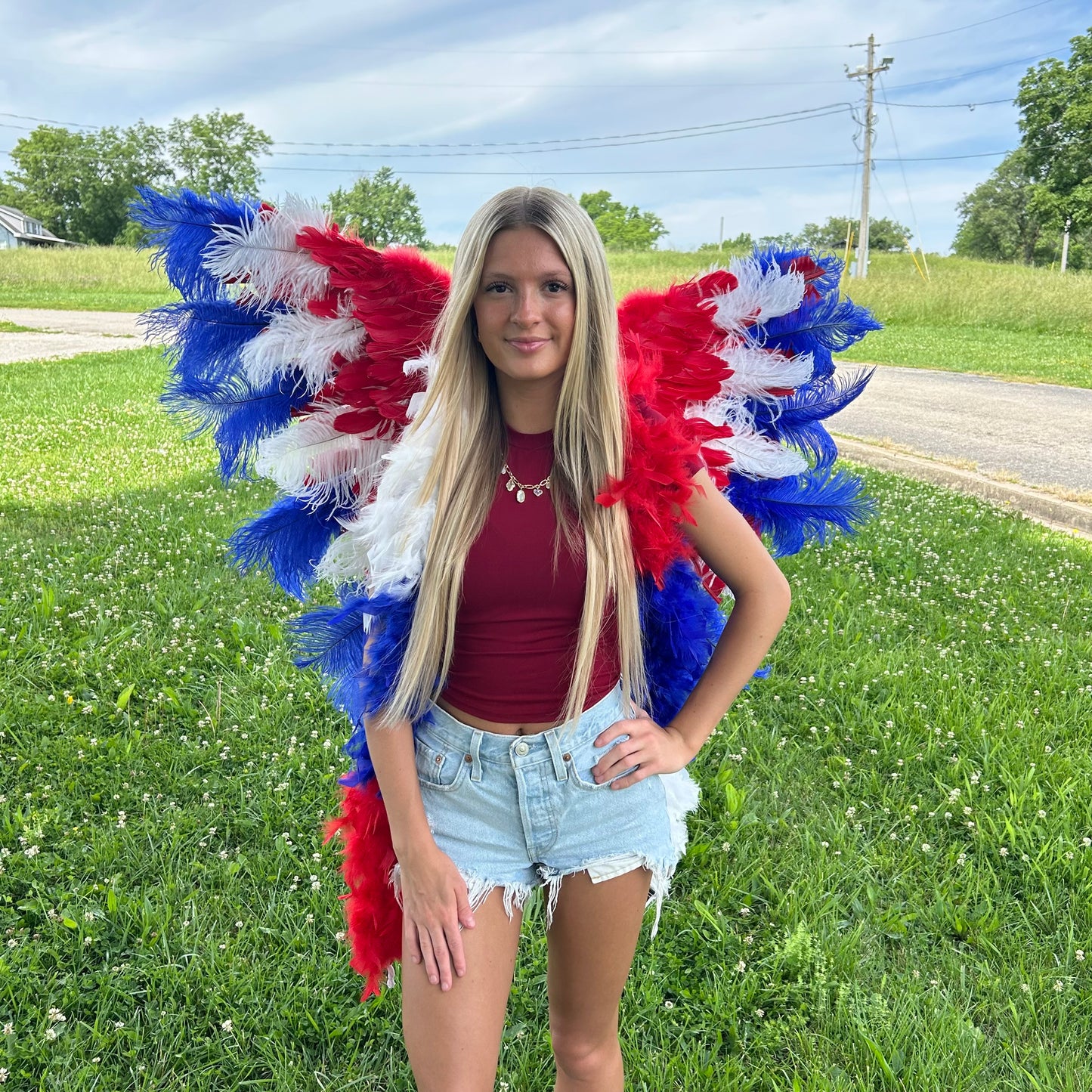 Goose Turkey Feather Wings 25 x 50 inch --Red/White/Royal