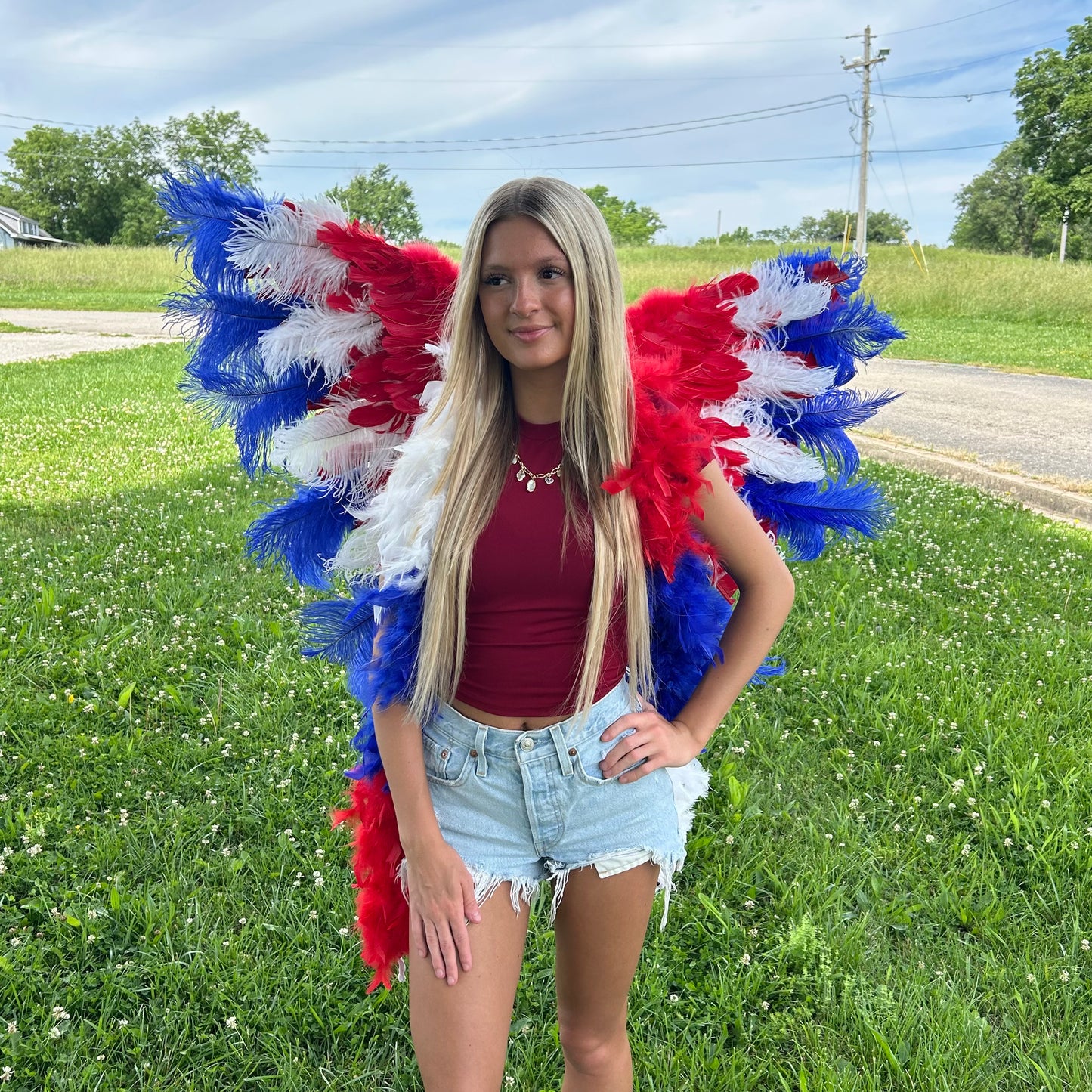 Goose Turkey Feather Wings 25 x 50 inch --Red/White/Royal