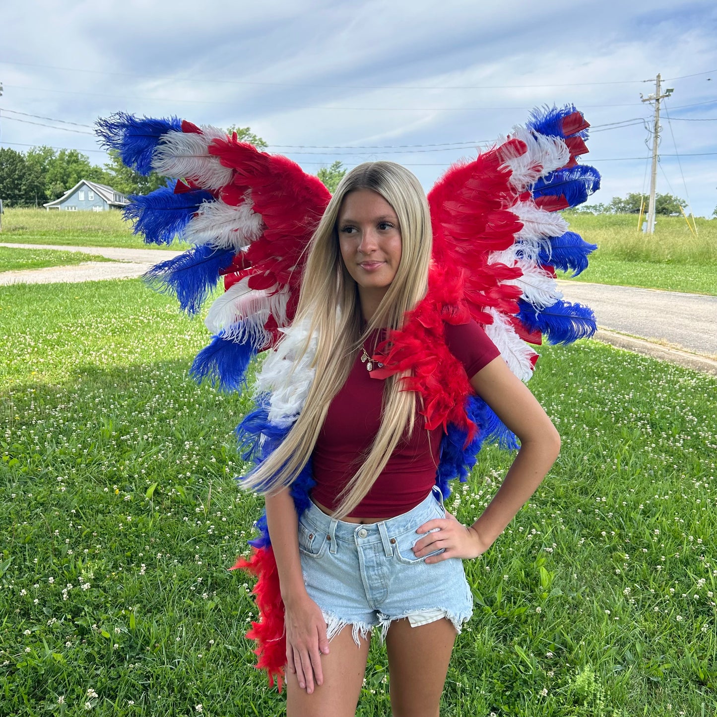 Goose Turkey Feather Wings 25 x 50 inch --Red/White/Royal