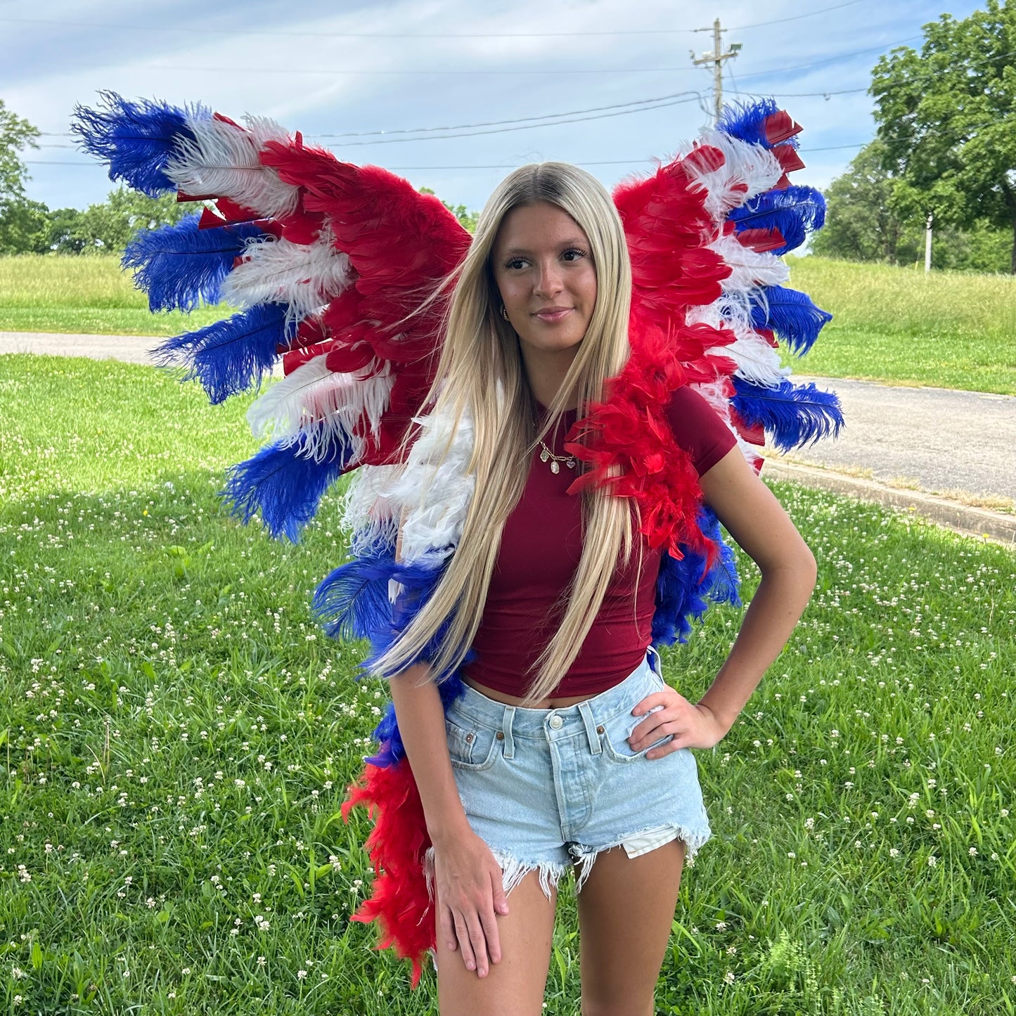 Goose Turkey Feather Wings 25 x 50 inch --Red/White/Royal