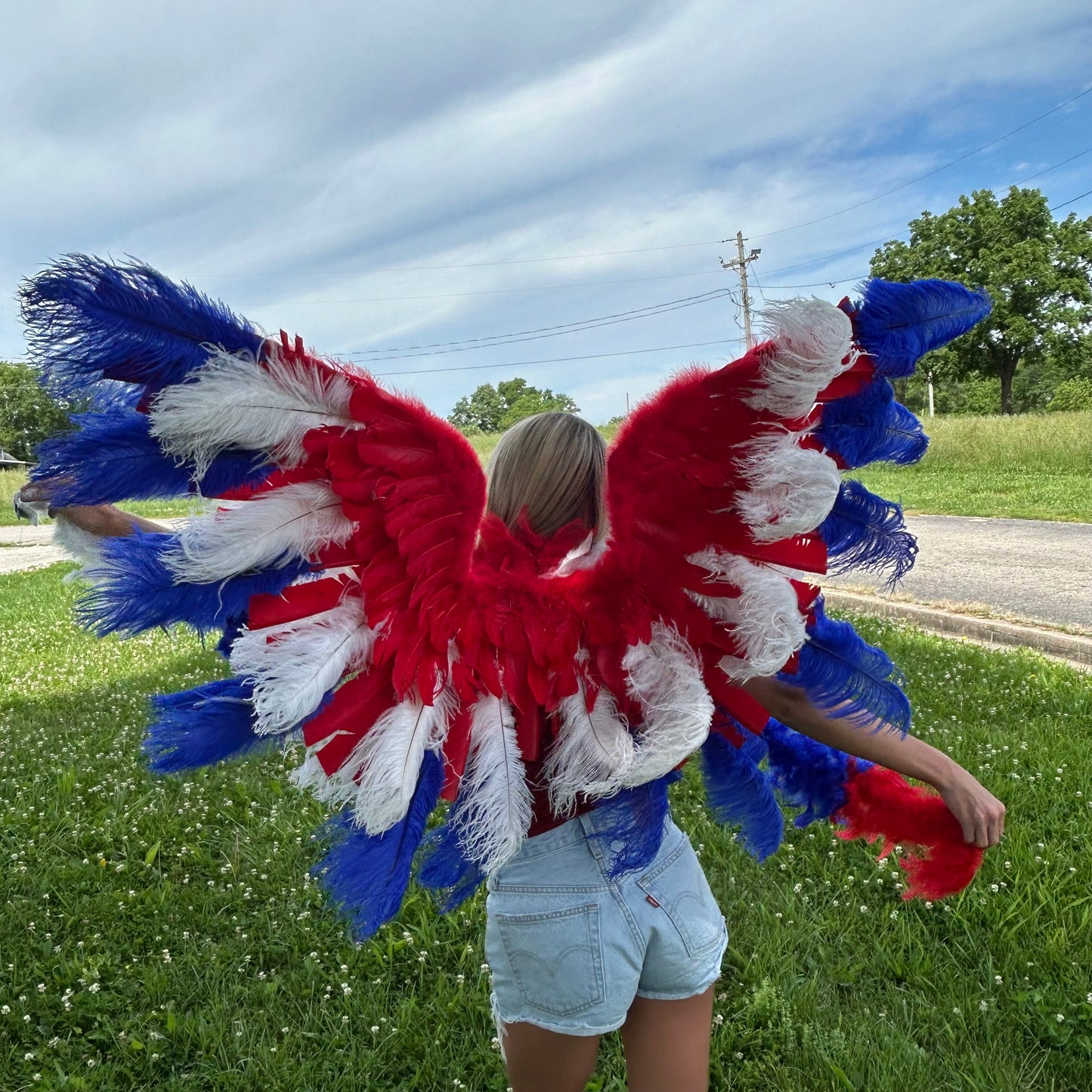 Goose Turkey Feather Wings 25 x 50 inch --Red/White/Royal