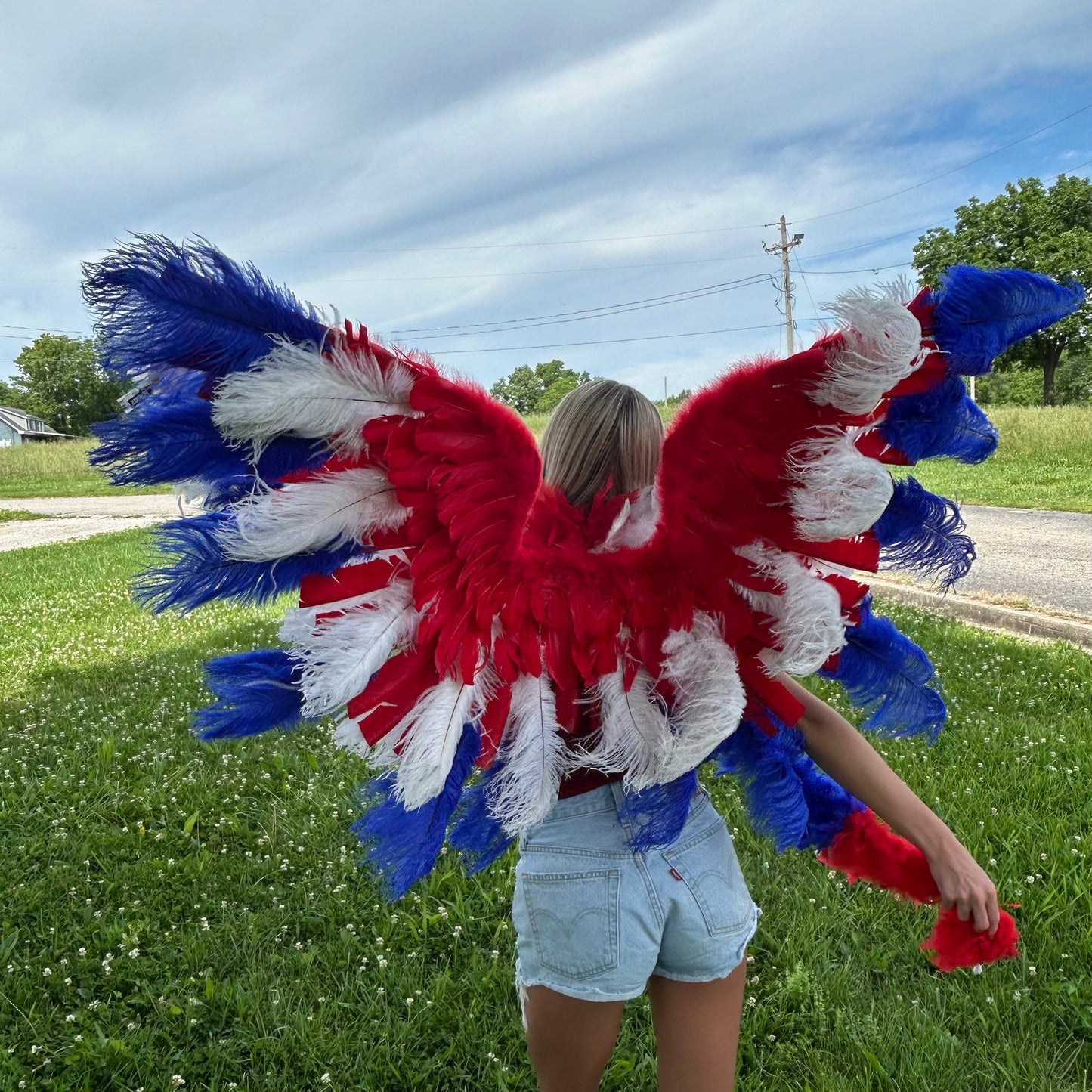 Goose Turkey Feather Wings 25 x 50 inch --Red/White/Royal