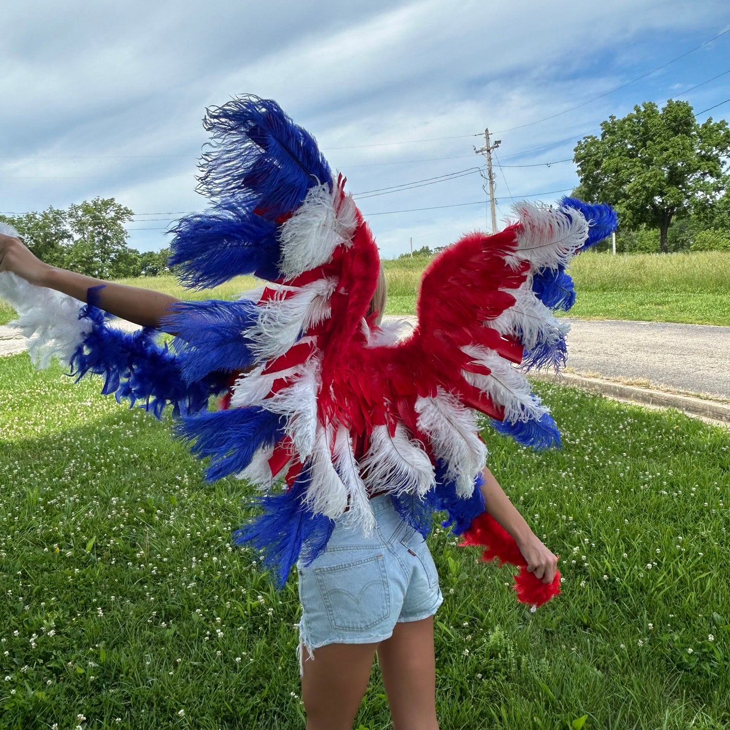 Goose Turkey Feather Wings 25 x 50 inch --Red/White/Royal