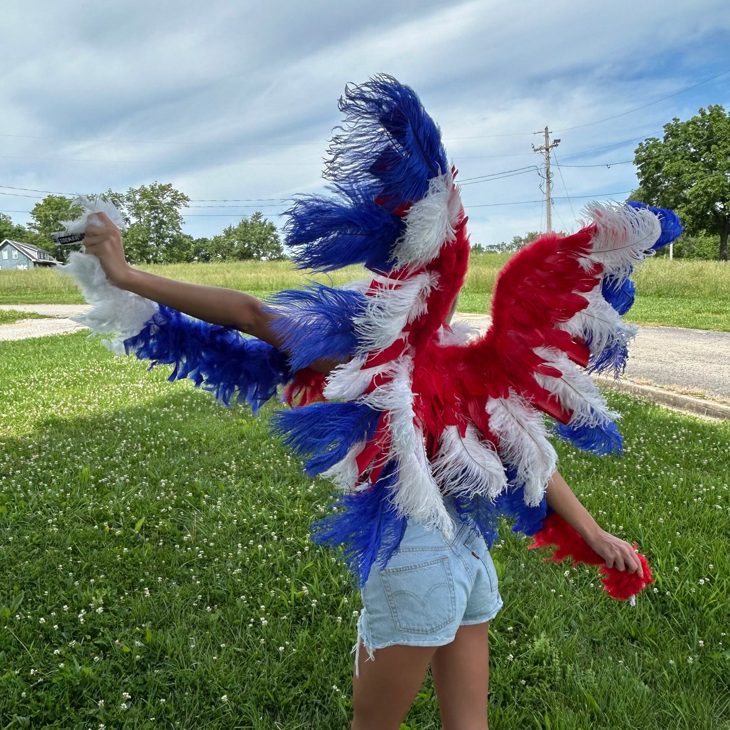 Goose Turkey Feather Wings 25 x 50 inch --Red/White/Royal