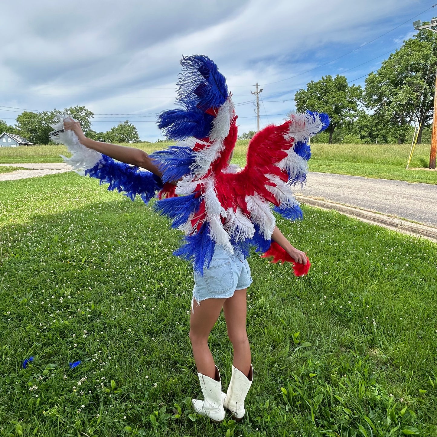 Goose Turkey Feather Wings 25 x 50 inch --Red/White/Royal