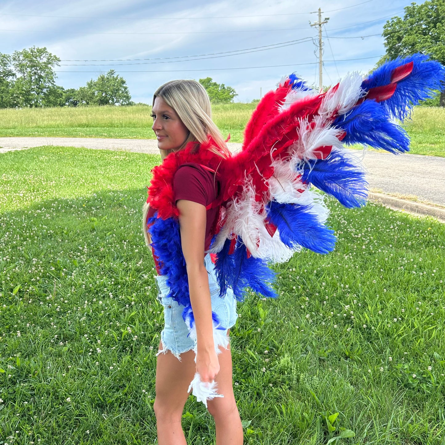 Goose Turkey Feather Wings 25 x 50 inch --Red/White/Royal