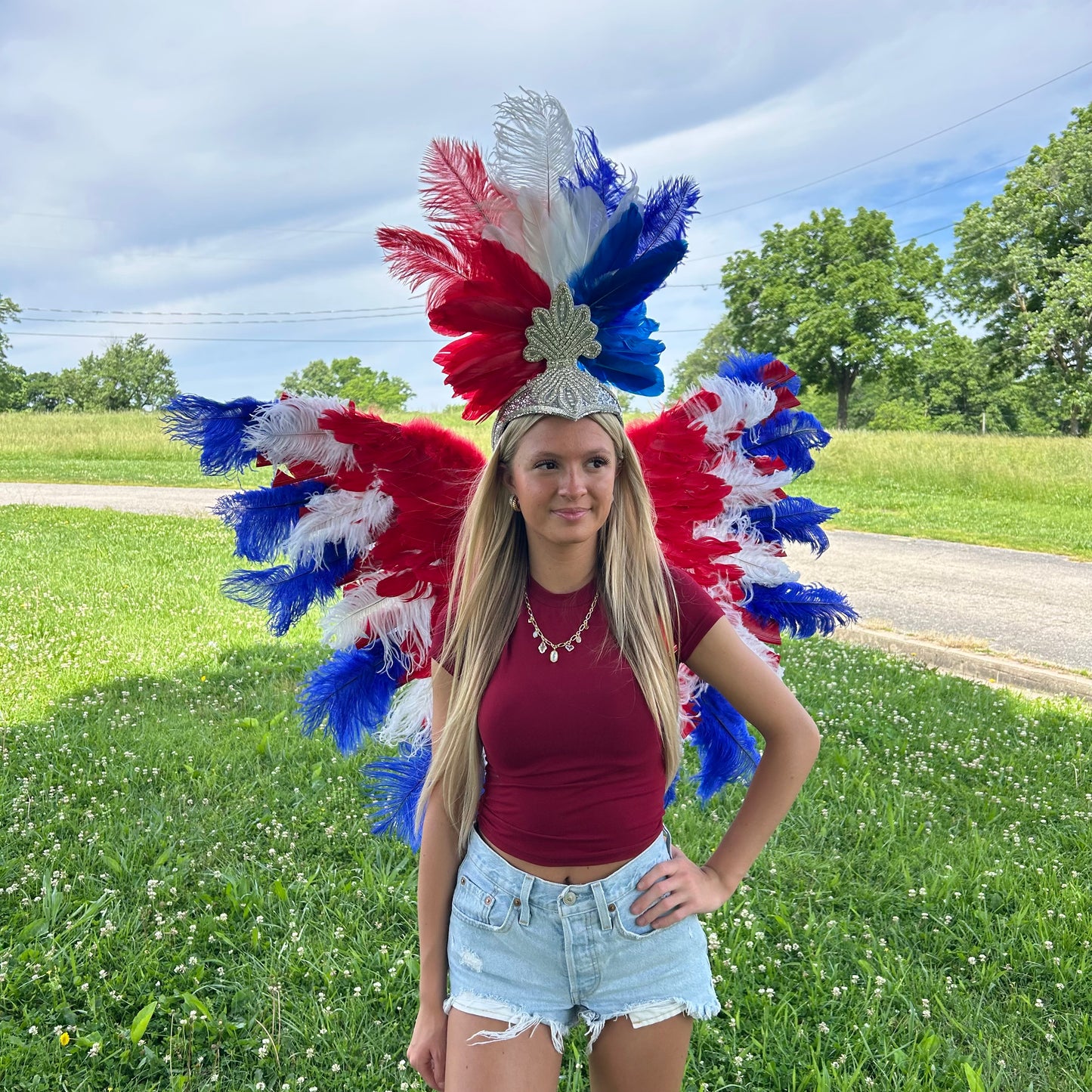 Goose Turkey Feather Wings 25 x 50 inch --Red/White/Royal