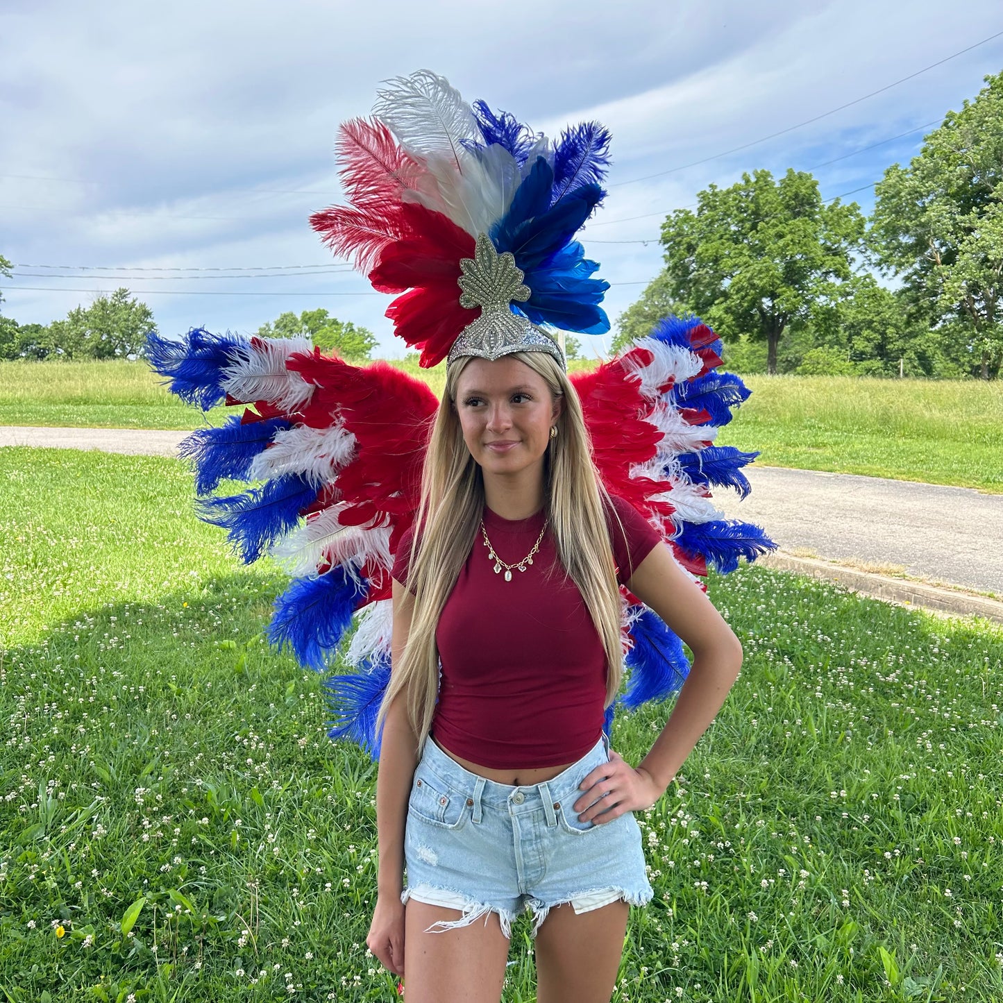 Goose Turkey Feather Wings 25 x 50 inch --Red/White/Royal
