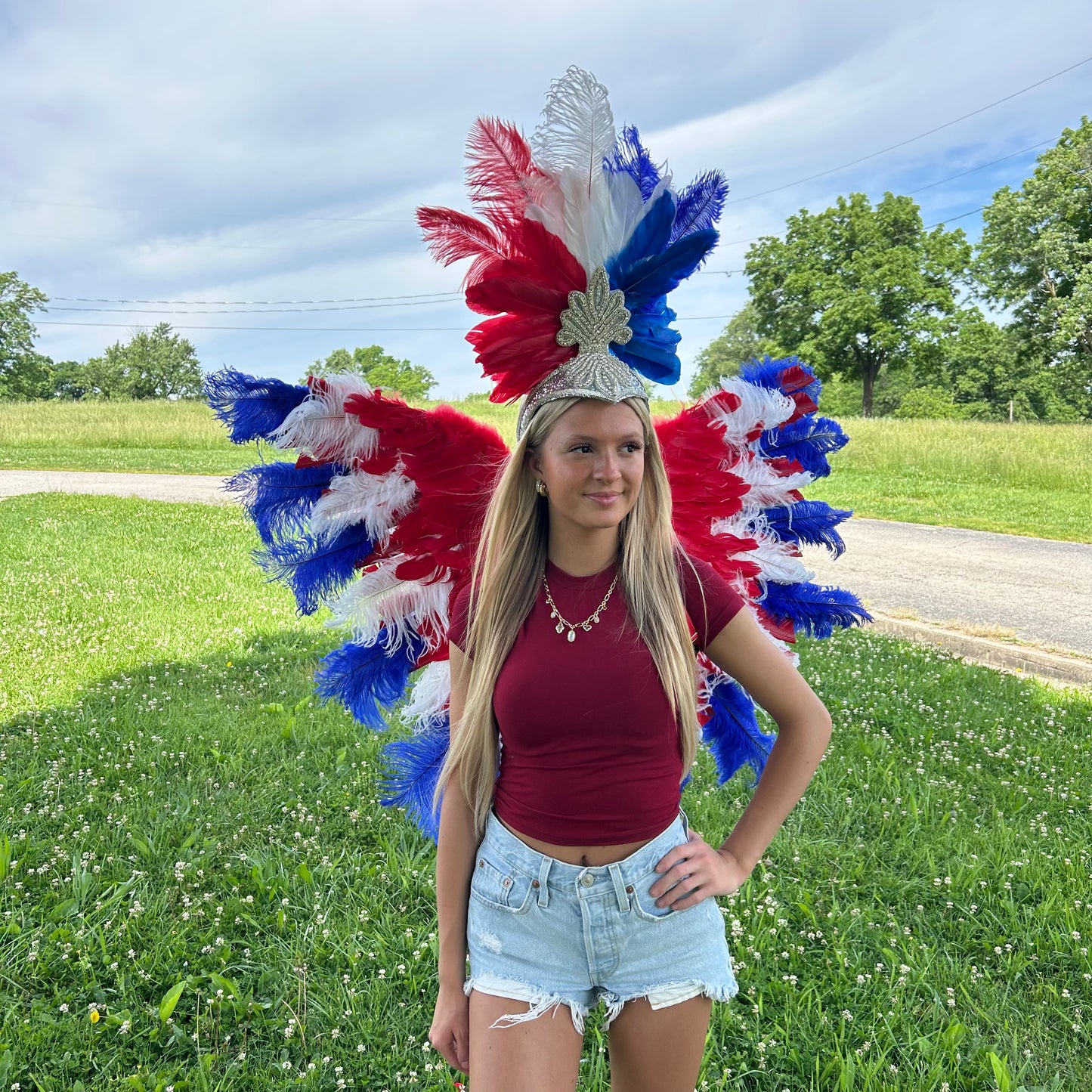 Goose Turkey Feather Wings 25 x 50 inch --Red/White/Royal