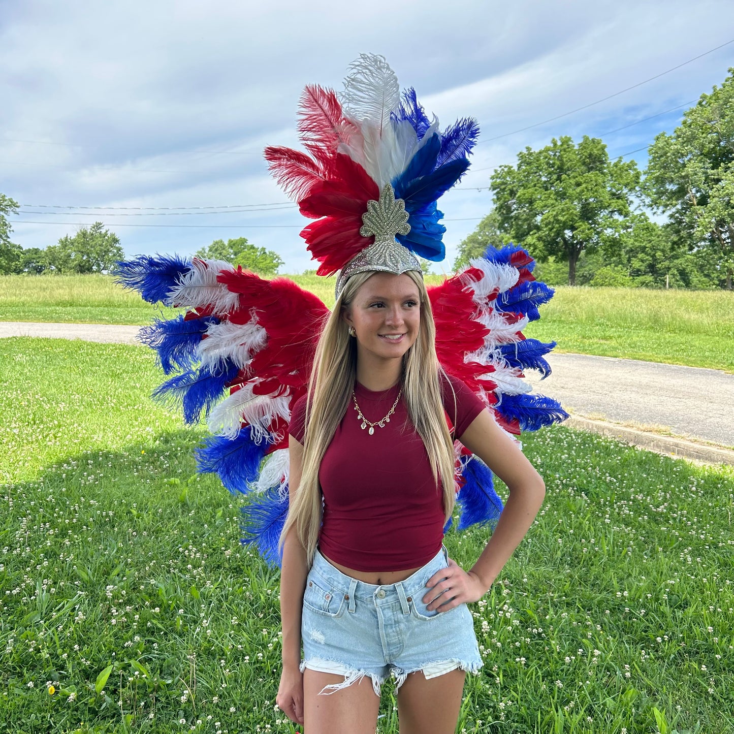 Goose Turkey Feather Wings 25 x 50 inch --Red/White/Royal