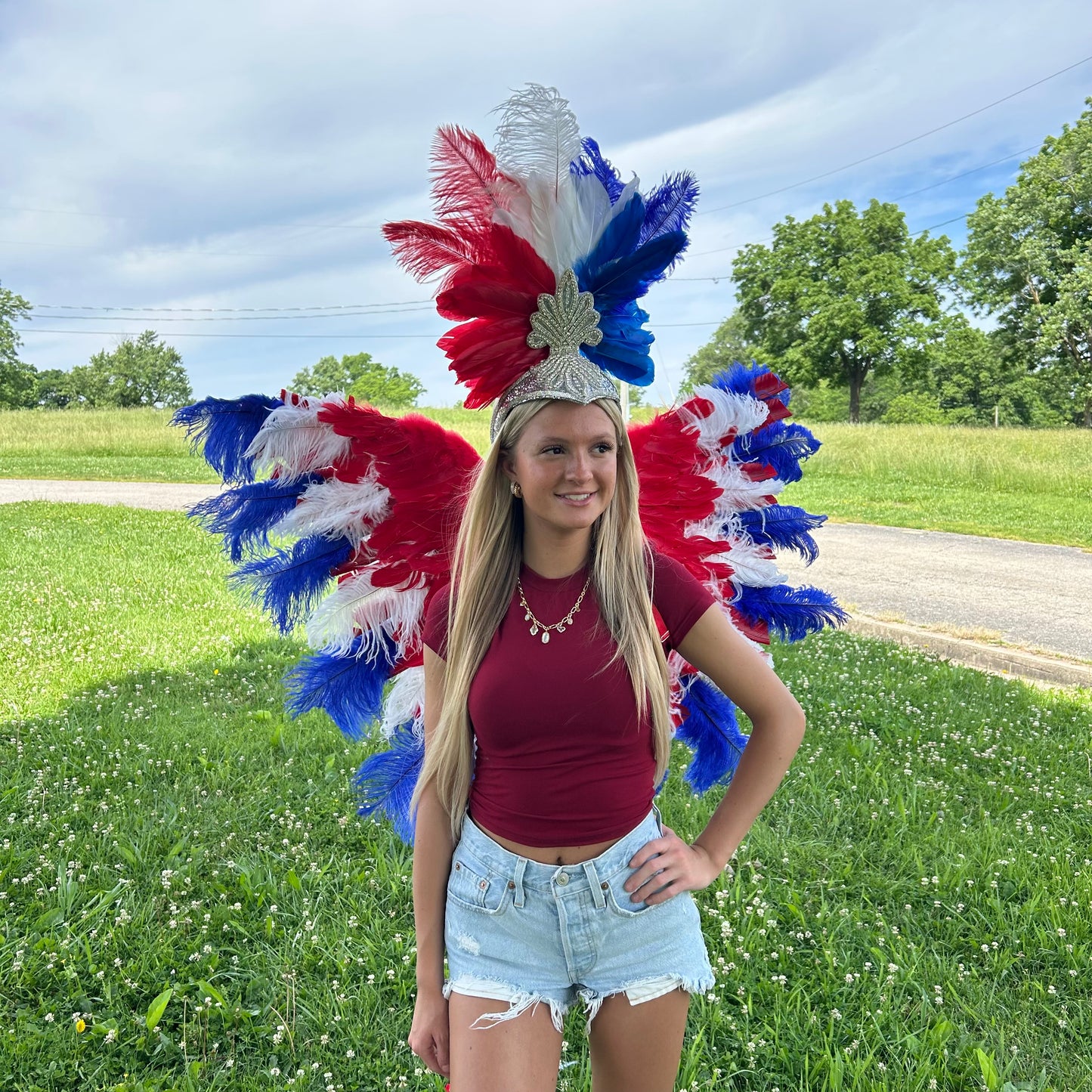 Goose Turkey Feather Wings 25 x 50 inch --Red/White/Royal