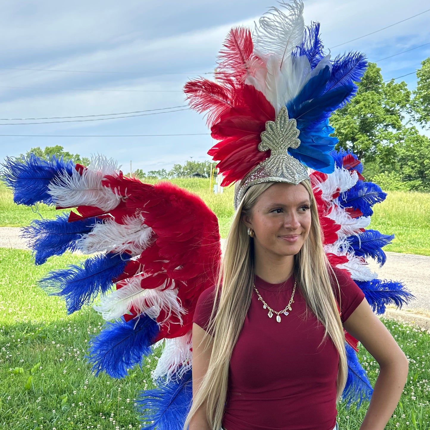 Goose Turkey Feather Wings 25 x 50 inch --Red/White/Royal