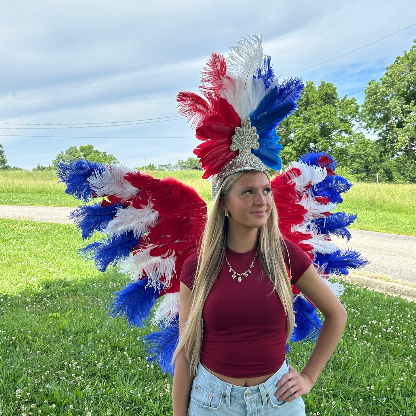 Goose Turkey Feather Wings 25 x 50 inch --Red/White/Royal