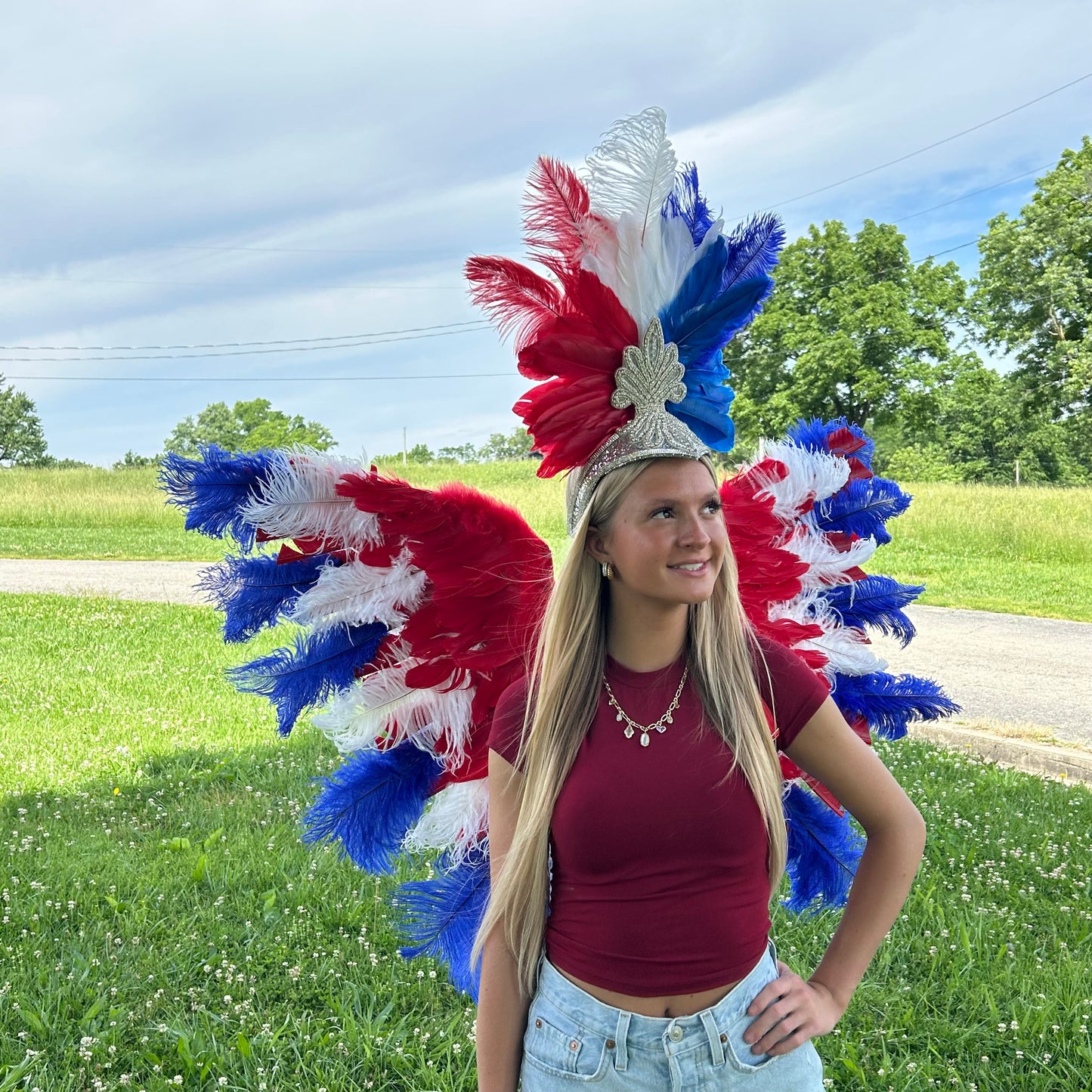 Goose Turkey Feather Wings 25 x 50 inch --Red/White/Royal