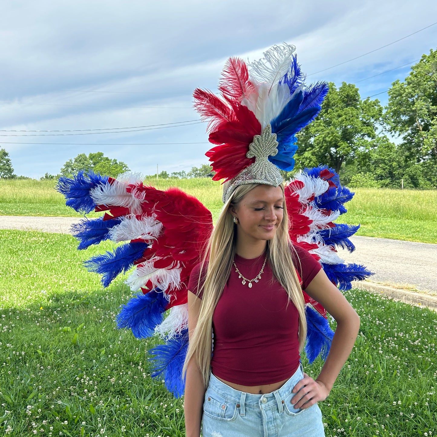 Goose Turkey Feather Wings 25 x 50 inch --Red/White/Royal