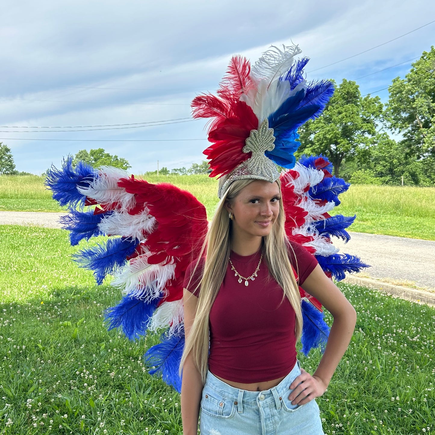 Goose Turkey Feather Wings 25 x 50 inch --Red/White/Royal