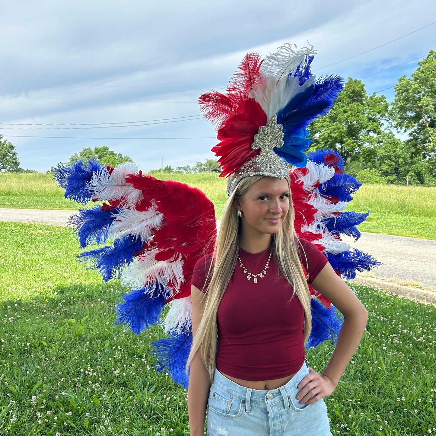 Goose Turkey Feather Wings 25 x 50 inch --Red/White/Royal
