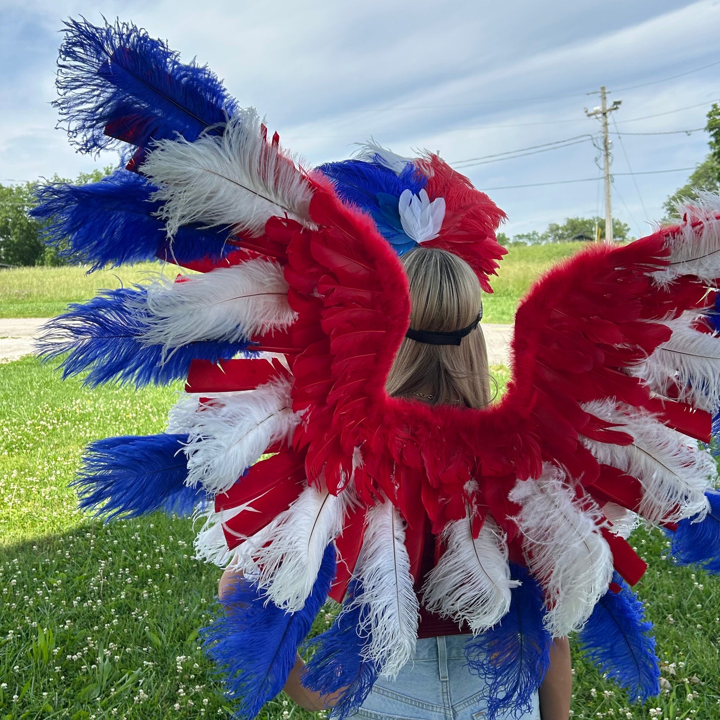 Goose Turkey Feather Wings 25 x 50 inch --Red/White/Royal