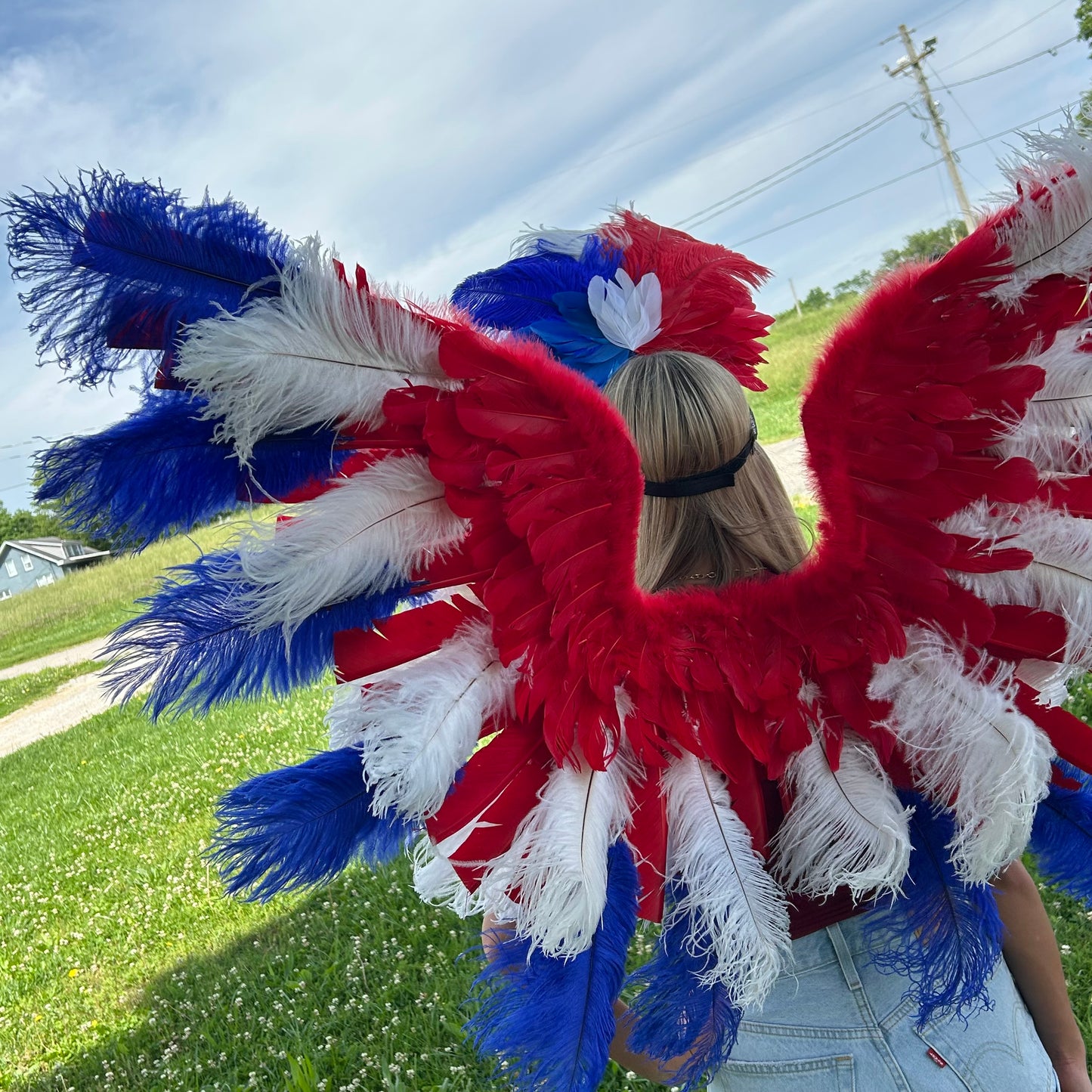 Goose Turkey Feather Wings 25 x 50 inch --Red/White/Royal