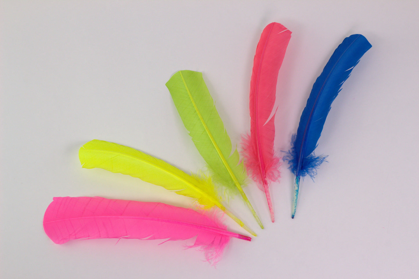 15 PCS Turkey quills Mix Dyed Feathers 10-12" - Neon