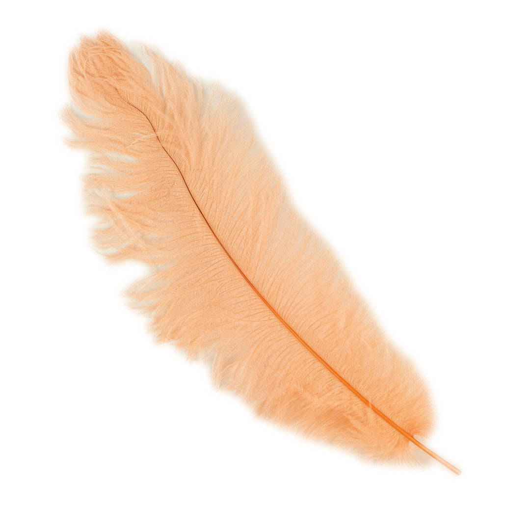 Large Ostrich Feathers - 17"+ Drabs - Apricot Blush