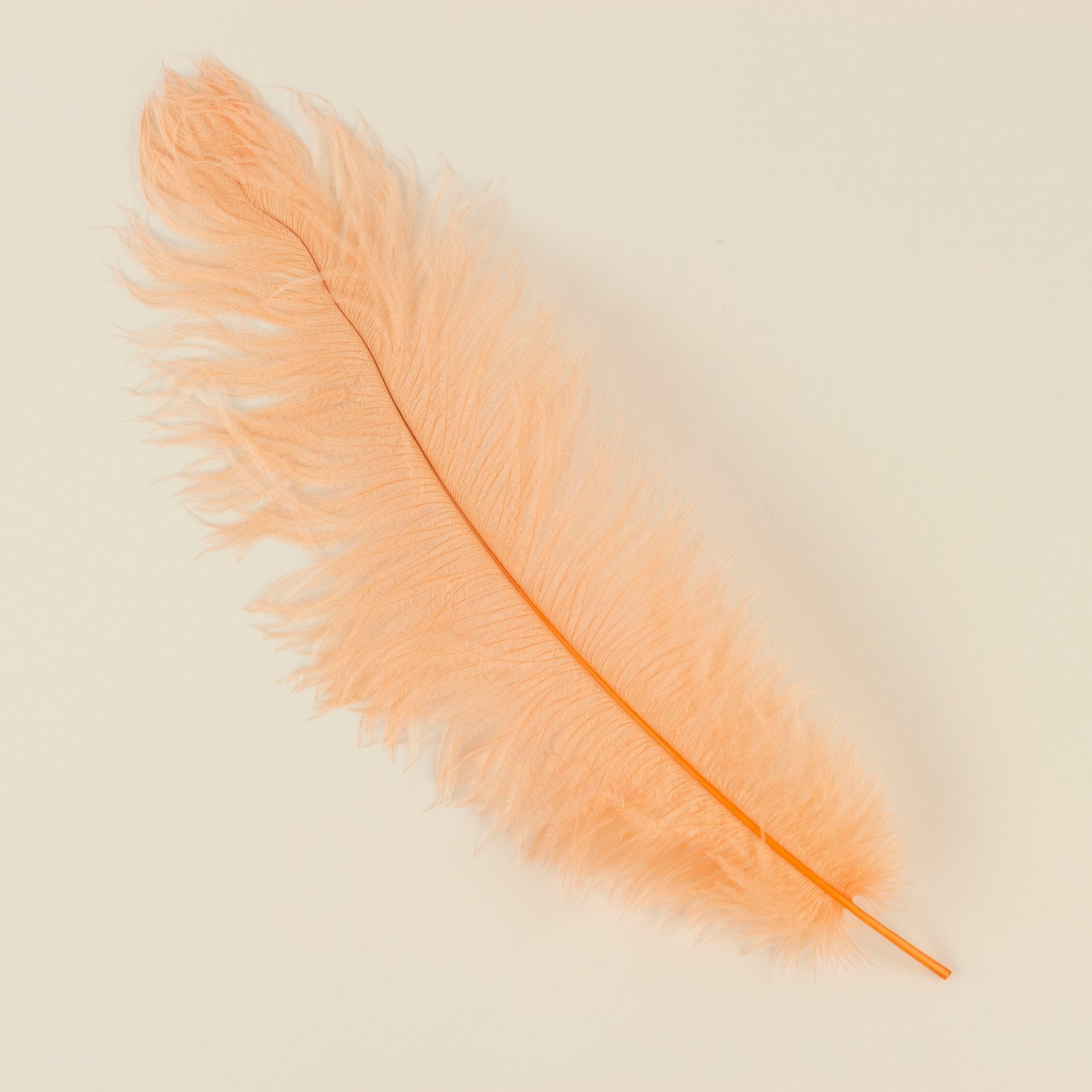 Large Ostrich Feathers - 17"+ Drabs - Apricot Blush