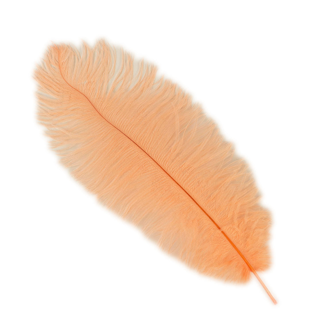 Large Ostrich Feathers - 17"+ Drabs - Apricot Blush