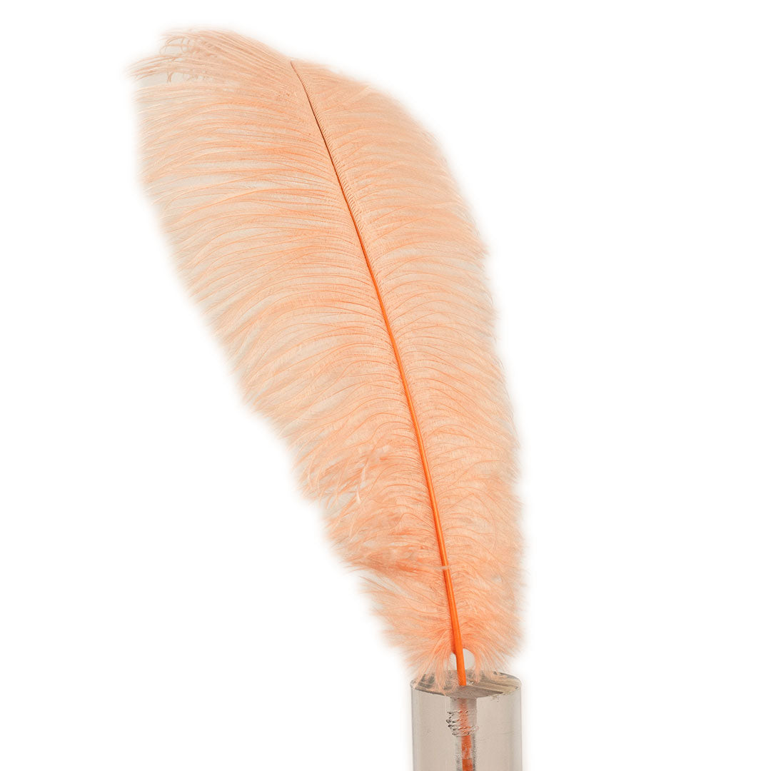 Large Ostrich Feathers - 17"+ Drabs - Apricot Blush