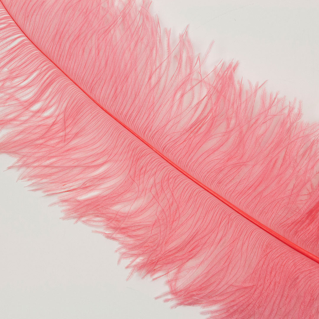 Large Ostrich Feathers - 18-24 Spads - Shocking Pink