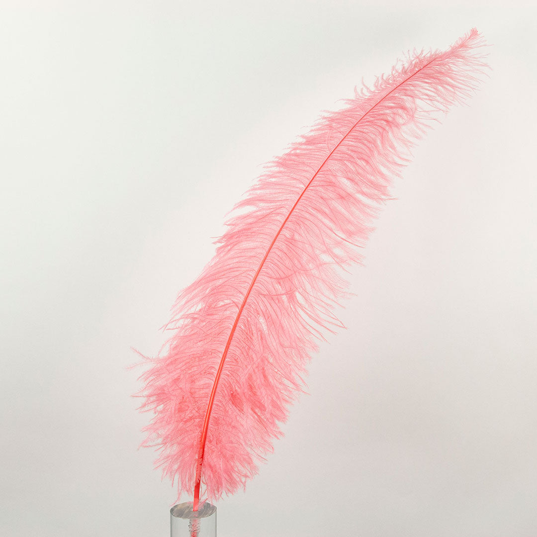 Large Ostrich Feathers - 18-24" Spads - Met Gala Potpourri