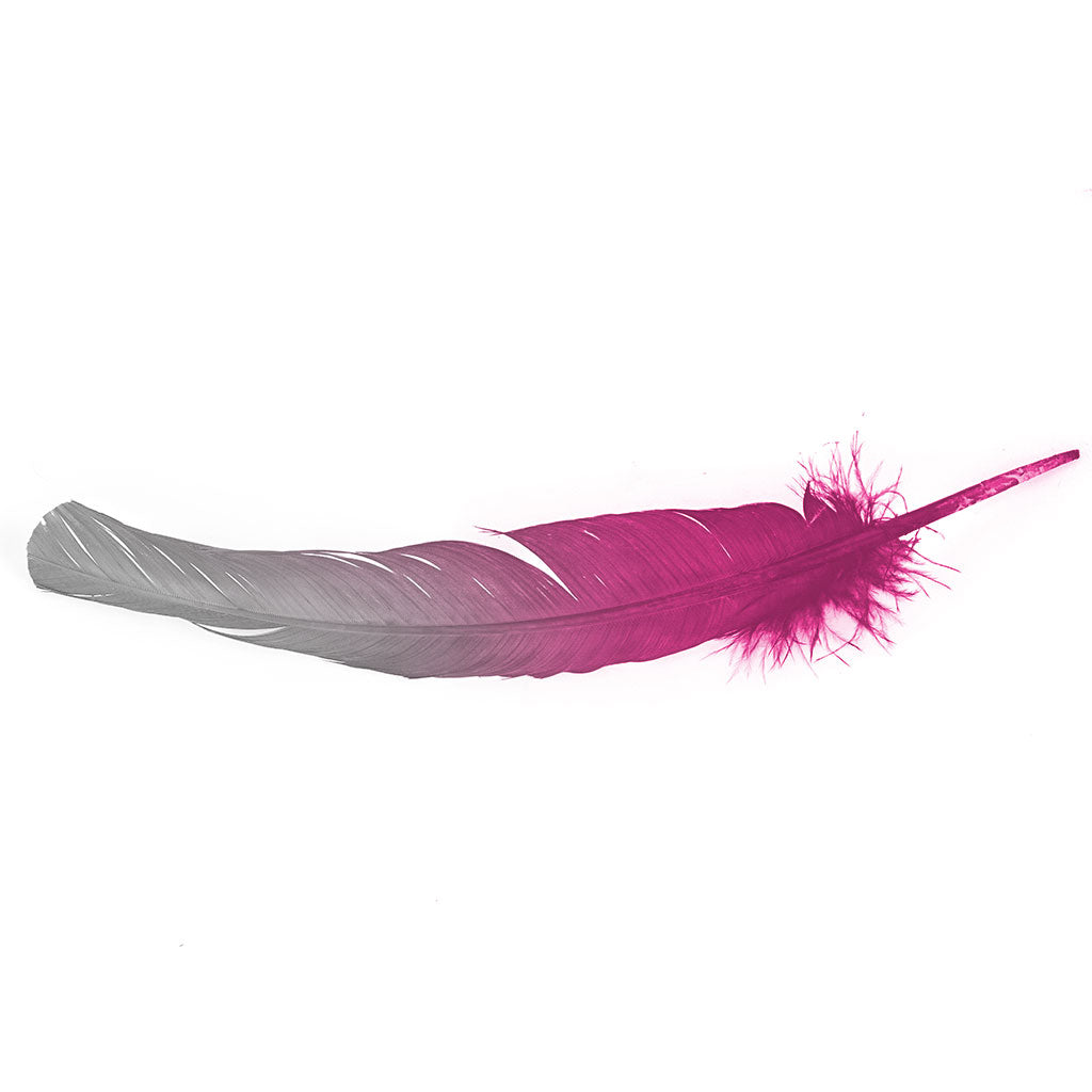 Ombre Turkey Quill 10-12" Right Wing Tip Silver .25 lb - Silver-Shocking Pink