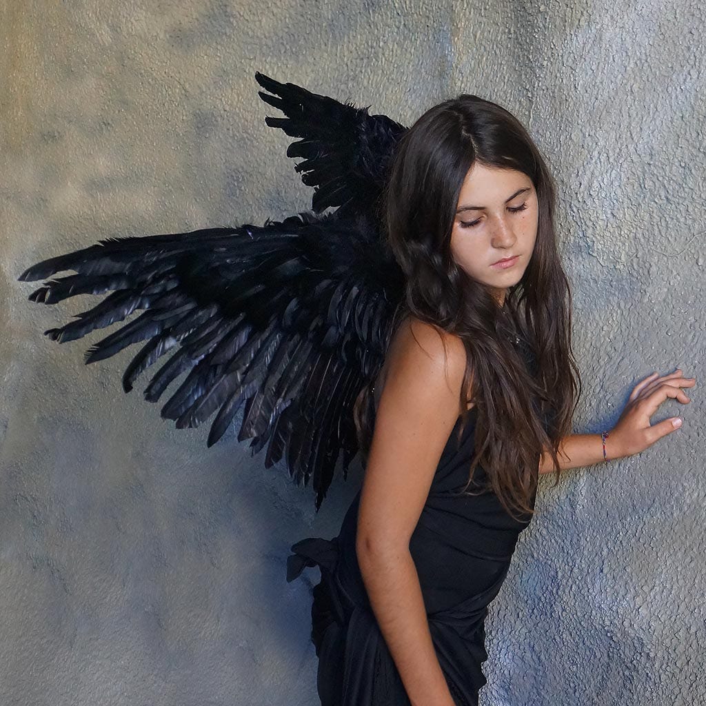 Adult Mockingbird Large Wings Costume - Black Angel Fairy Cosplay Halloween Crow Feather Wing - Feathers